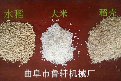 家庭式碾米機在沾化縣的應用及小型組合打米機制作技術解析